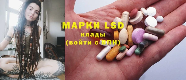 PSILOCYBIN Беломорск