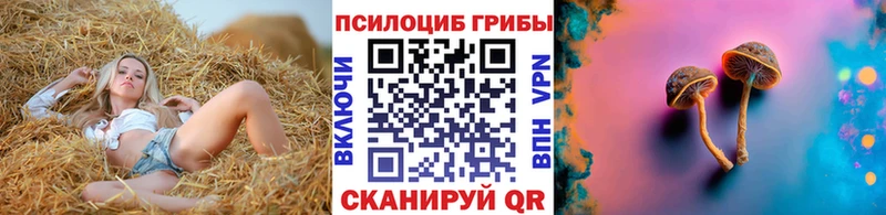 кракен ТОР  Усть-Джегута  Псилоцибиновые грибы GOLDEN TEACHER 