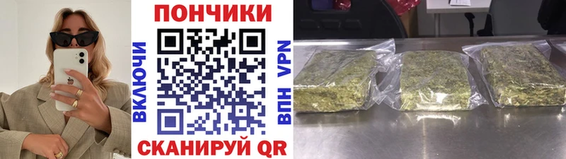 Бошки марихуана сатива  omg онион  Усть-Джегута 